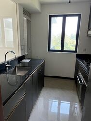 Normanton Park (D5), Apartment #448631851